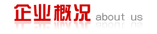 企業概況
